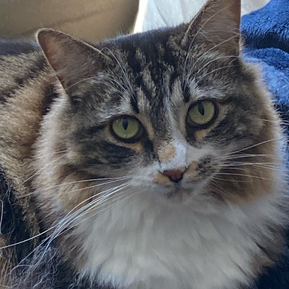 Mostly a buyer/browser, sometimes a seller :). - Picture 2 of 6